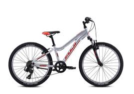 Fuji Dynamite 24" Sport Shimano Tourney